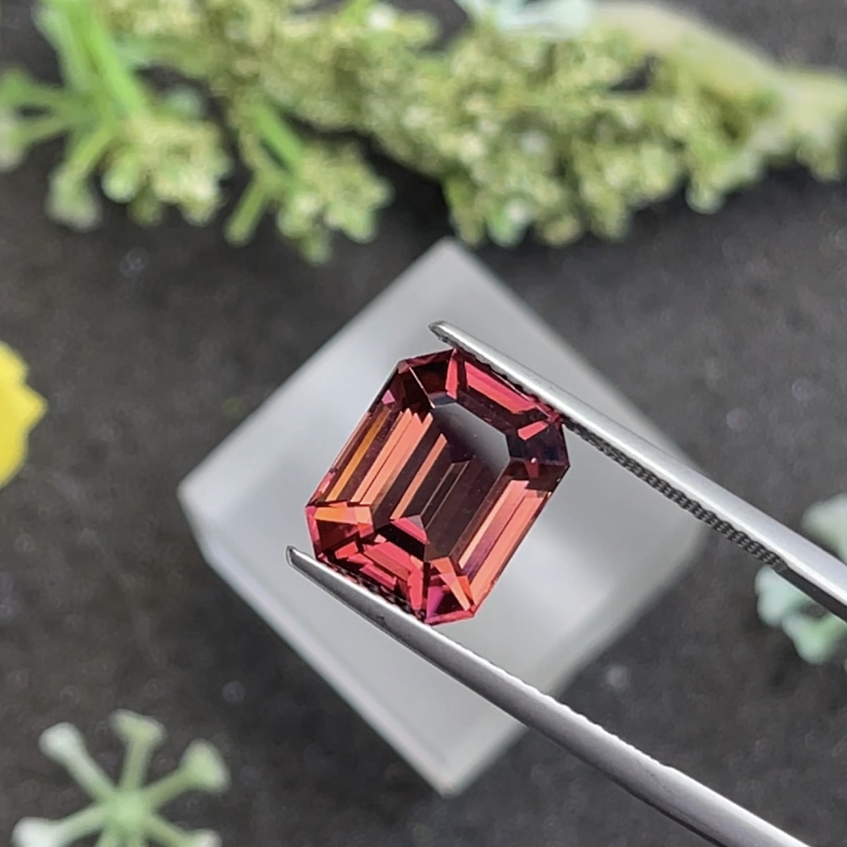 La pince à épiler tient une pierre précieuse Tourmaline Rose · 6,25 ct de Bonnot Paris, présentant un design rouge rectangulaire facetté avec un centre sombre sur un fond naturel vert flou.