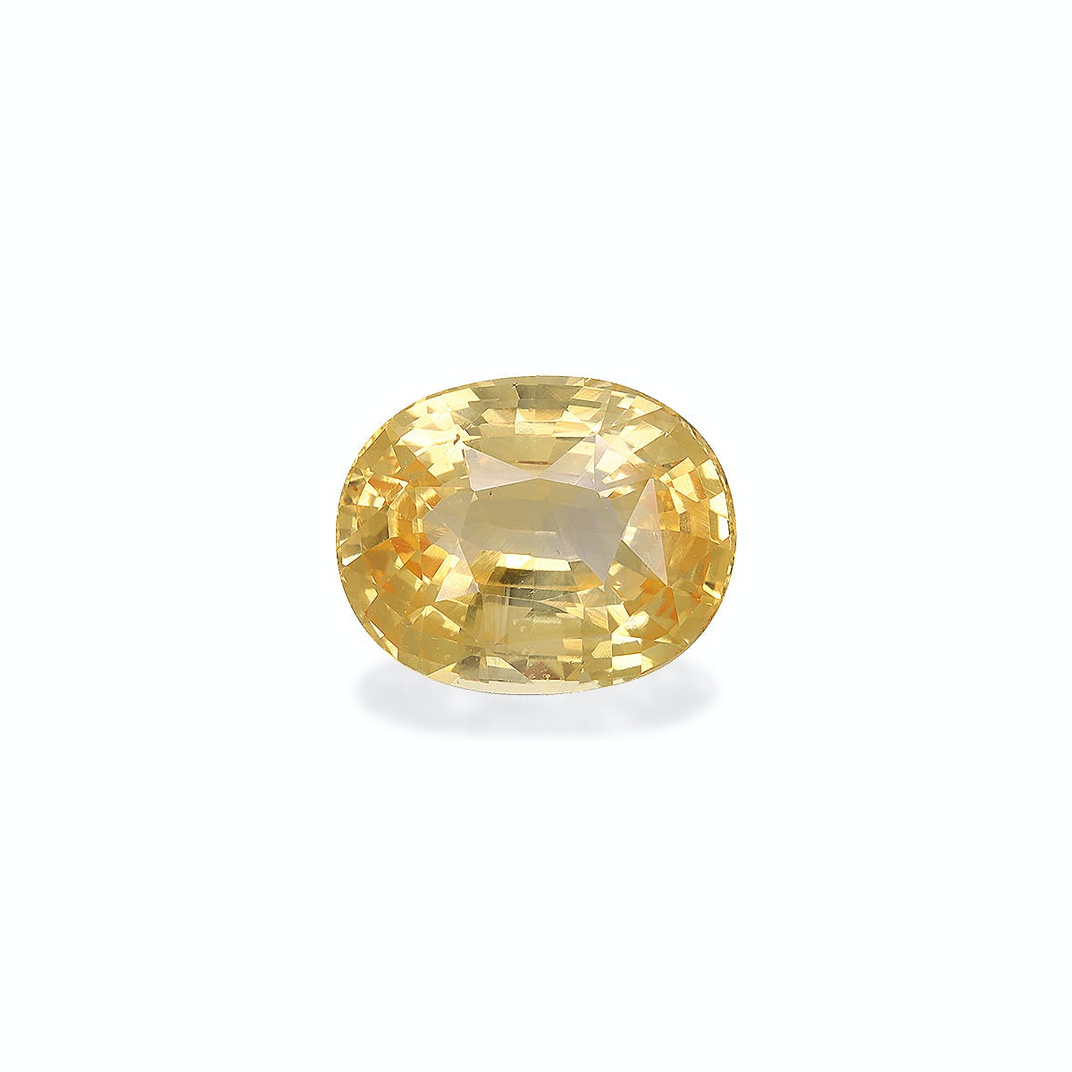 Le Saphir Jaune · 4,5ct de Bonnot Paris, une pierre précieuse jaune de forme ovale avec une surface facettée, reflète magnifiquement la lumière et rayonne d'une lueur brillante sur un fond blanc uni.