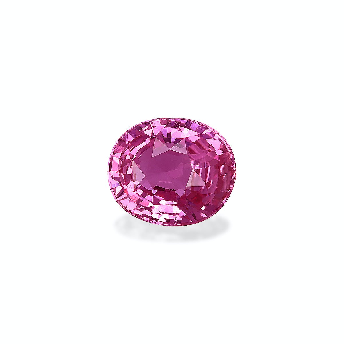 Le Saphir Rose de 2,08 carats de Bonnot Paris, avec sa taille ovale facettée et sa teinte rose éclatante, reflète brillamment la lumière sur un fond blanc uni, mettant en valeur sa couleur vibrante et sa clarté - un véritable trésor de bijoux personnalisés.