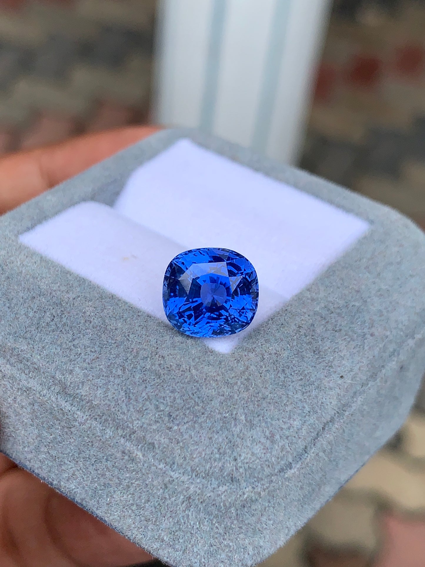 Un Saphir bleu de 7,08 carats de Bonnot Paris, taille coussin, repose dans un écrin de velours gris tenu par une main. Le fond délicatement flouté met en valeur cette pierre d'exception vibrante.