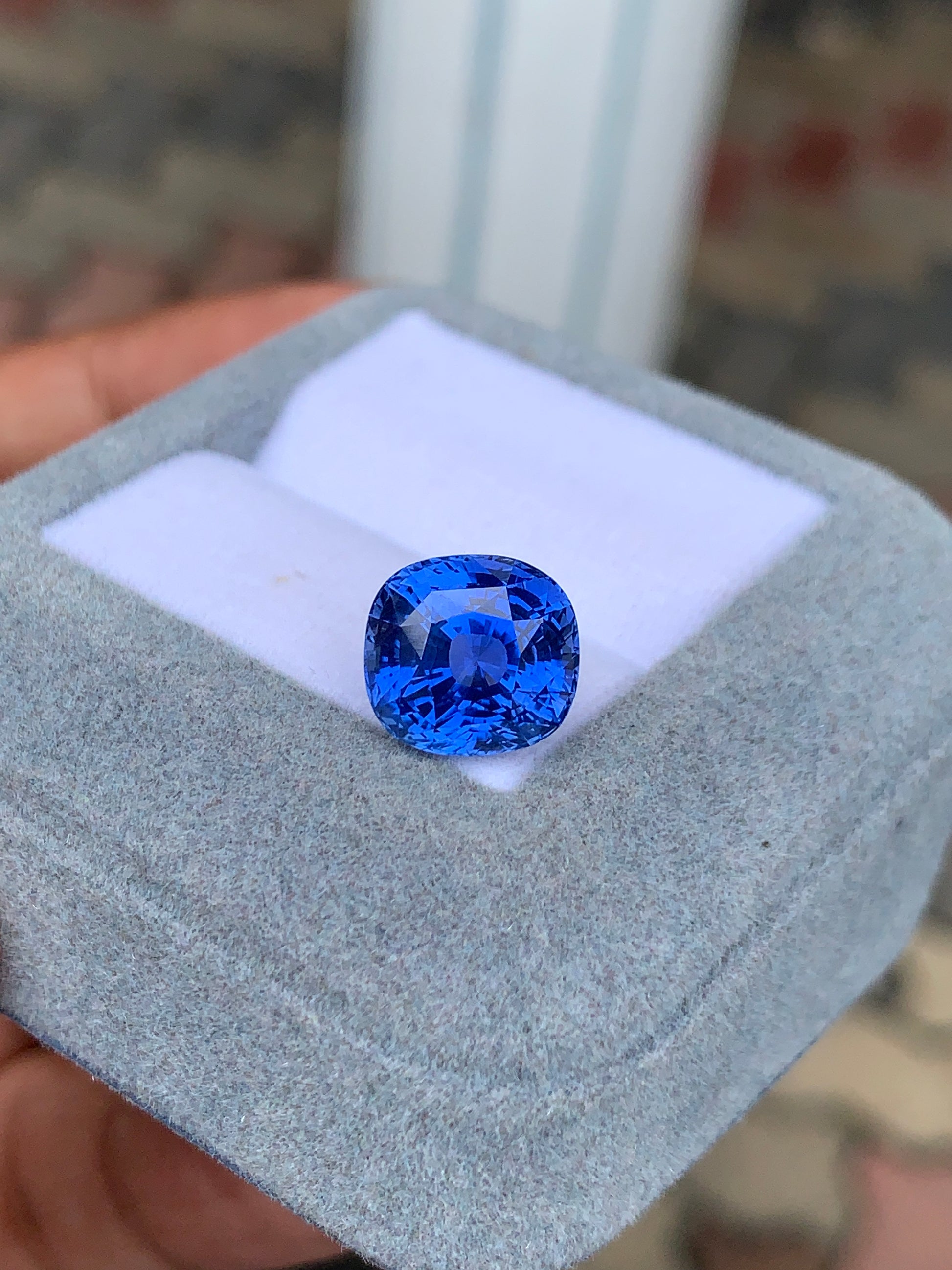 Un Saphir bleu de 7,08 carats de Bonnot Paris, taille coussin, repose dans un écrin de velours gris tenu par une main. Le fond délicatement flouté met en valeur cette pierre d'exception vibrante.