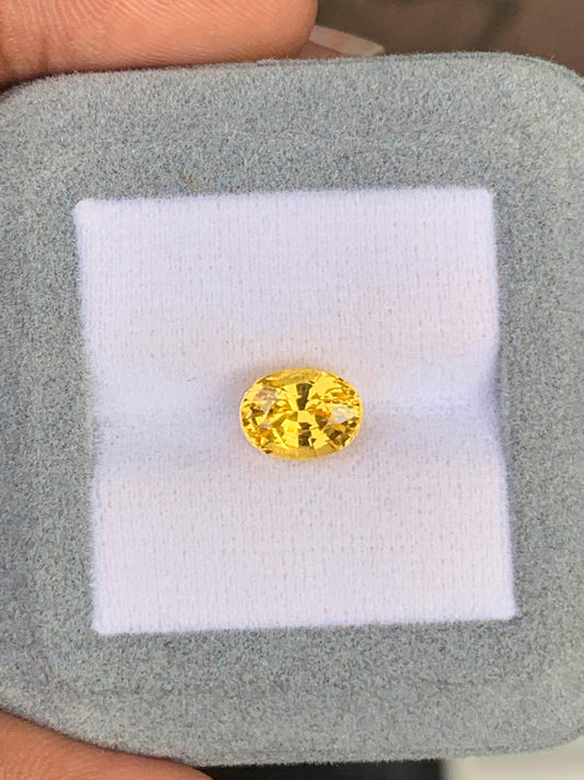 Une main présente une [NOUVEAU] vitrine Bonnot Paris avec un Saphir jaune rond et scintillant • 3,15ct du Sri Lanka serti sur un tissu blanc.