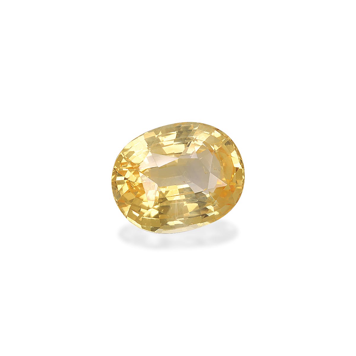 Le Saphir Jaune · 4,5ct de Bonnot Paris est une pierre précieuse jaune ovale avec une surface facettée, réfléchissant la lumière avec brio sur un fond blanc uni, mettant en valeur sa clarté et sa couleur vibrante.