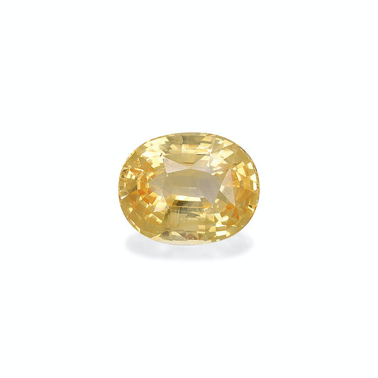 Le Saphir Jaune · 4,5ct de Bonnot Paris, une pierre précieuse jaune de forme ovale avec une surface facettée, reflète magnifiquement la lumière et rayonne d'une lueur brillante sur un fond blanc uni.